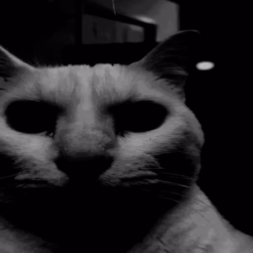 uncanny_cat emote