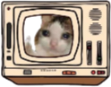 Crycat static emote