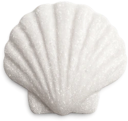 Whitesparklyseashell emoji
