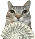 motion emote
