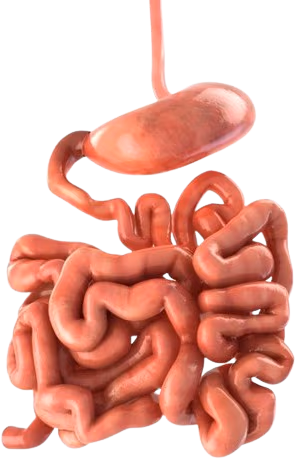 pink_noodle emote