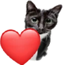 LOVEcat emote