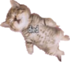 doid emote