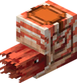 Nautilus emote