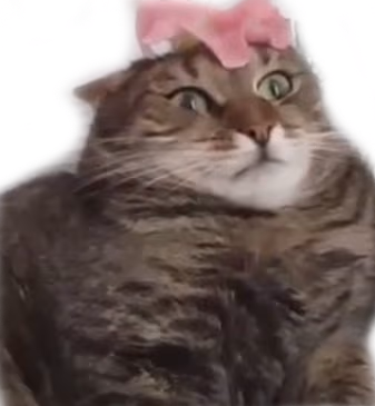 flower_cat emote