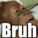 BruhMonkey emote