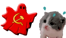 COMMcat animated emote