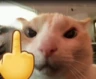 CatMiddleFinger emote