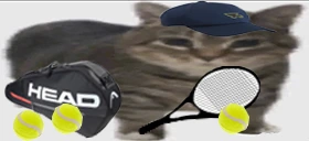 tenisik emote