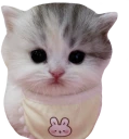 bubi emote