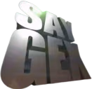 SAYGEX emote