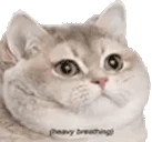 HeavyBreathing emote