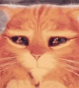 Please emote