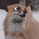 BOOP emote