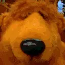 SmellingYou emote