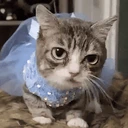 AlrightGive emote