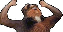 bbCheer emote