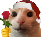 catRose emote