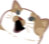 catsurprised emote