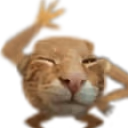 buhFriend emote