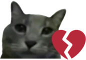 dumbass emote