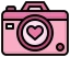 PinkCamera emote