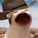 cowboybop emote