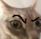 raisedEyebrow emote