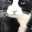 CatLick emote