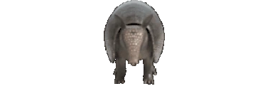 Alexandre emote