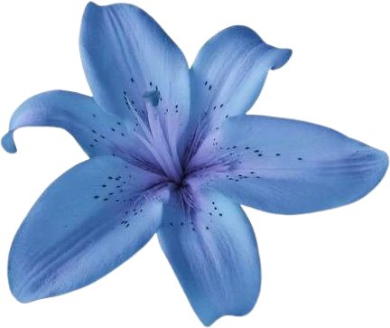 Flower emote