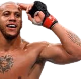 salute emote