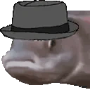 FishMLADY emote