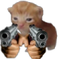 RobertGun emote