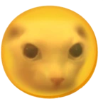 Sun_O_Bingus emote