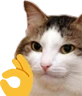 kiisu_ok emote