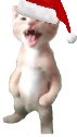 CatScream emote
