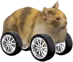CAR emote
