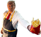 FriesInTheBag static emote