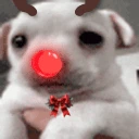 scawy emote