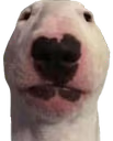 walter emote