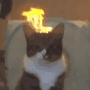 Fire emote