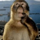 think emote