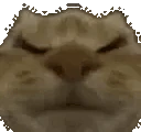 Mhmm emote