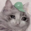CE_sadcat10 emote