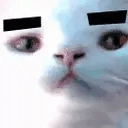 ApolloFlirt emote