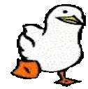 WADDLE emote