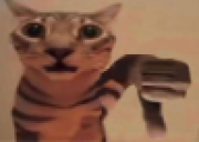 nokak static emote