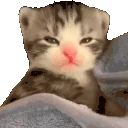 soeepy emote