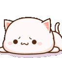 catbored emote